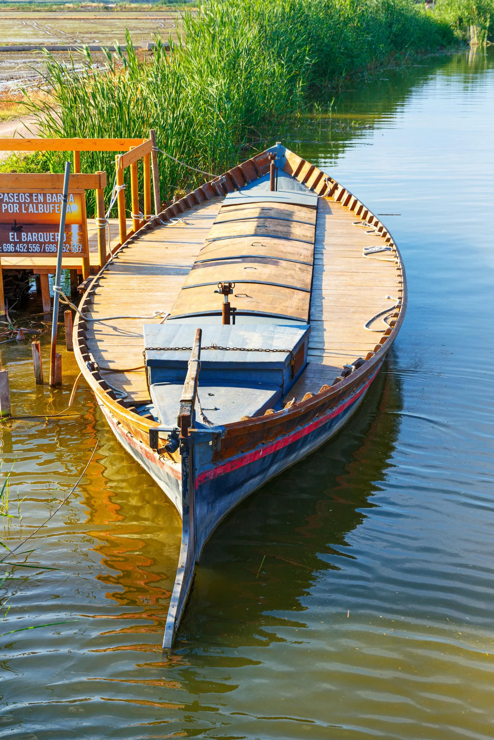 Excursiones a la Albufera